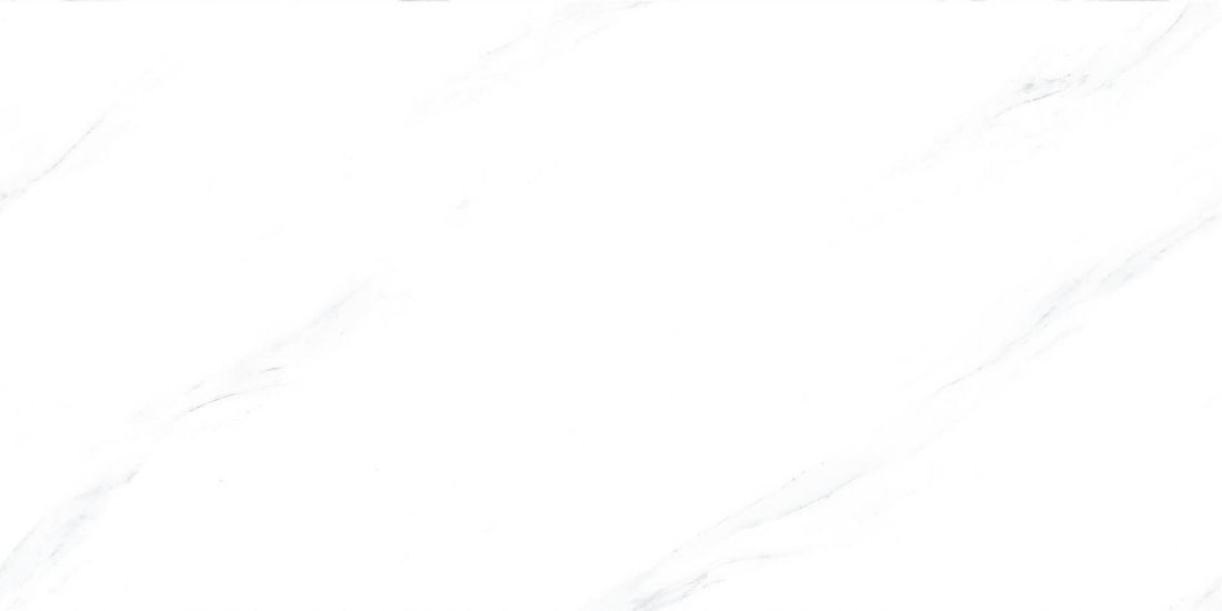 MLS858