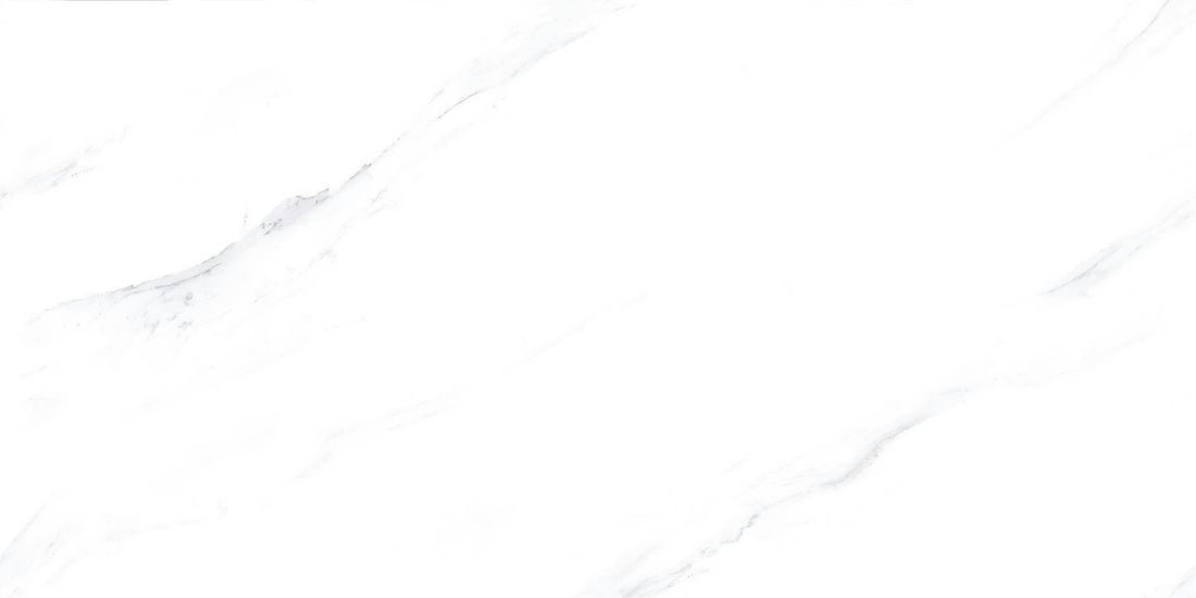 MLS858