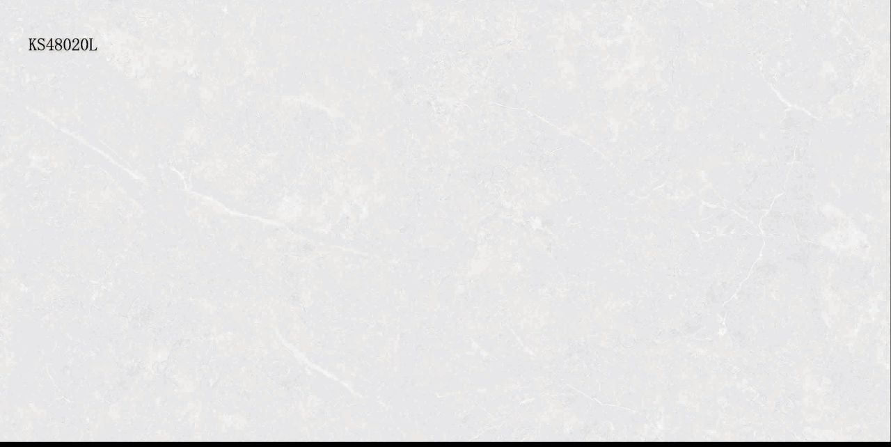 MLS48020L