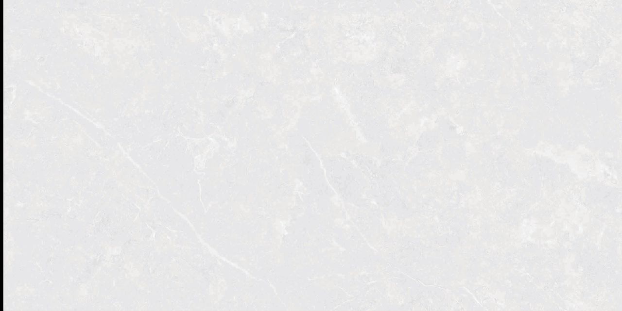 MLS48020L
