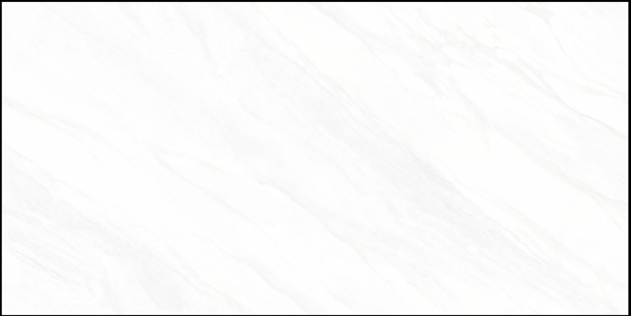 MLS48019L