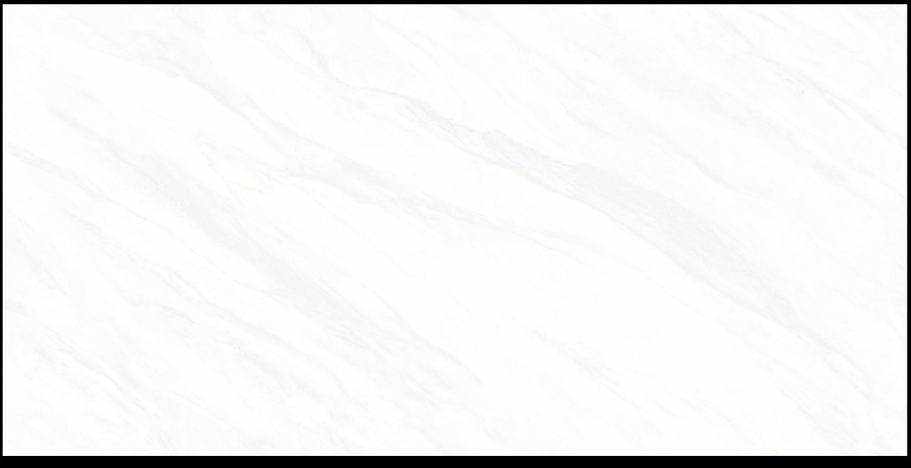 MLS48019L