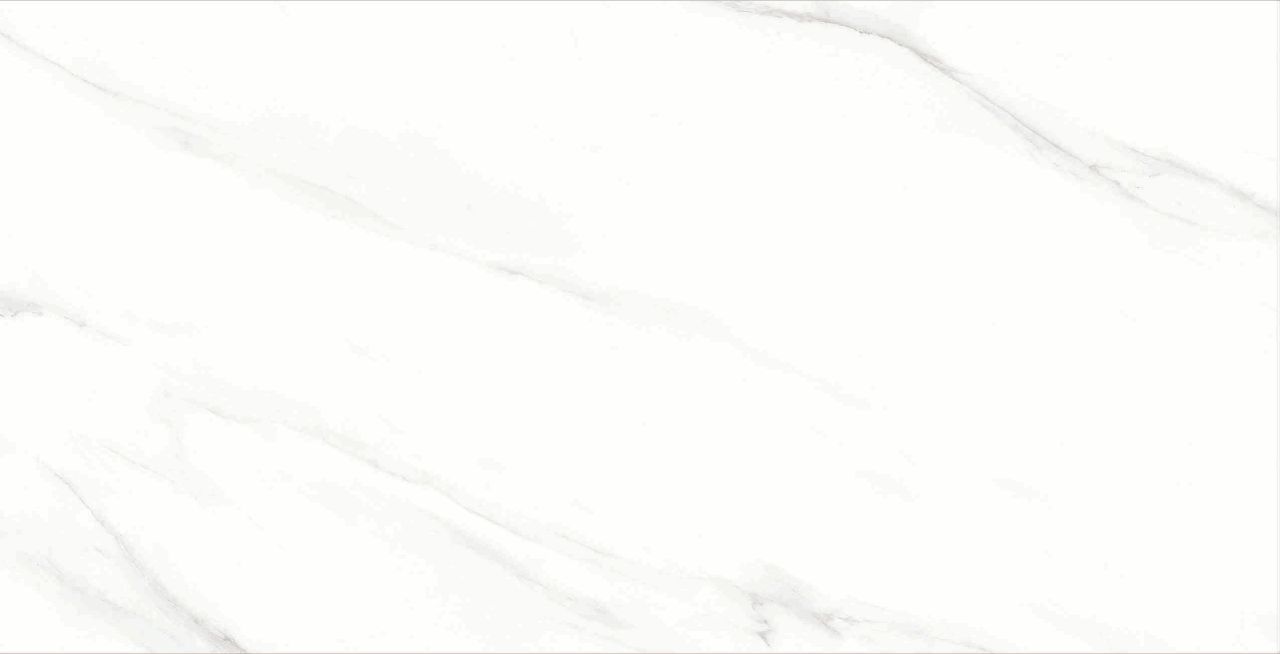 MLS48001