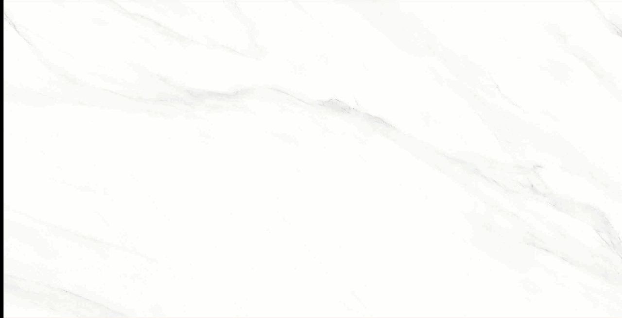 MLS48001